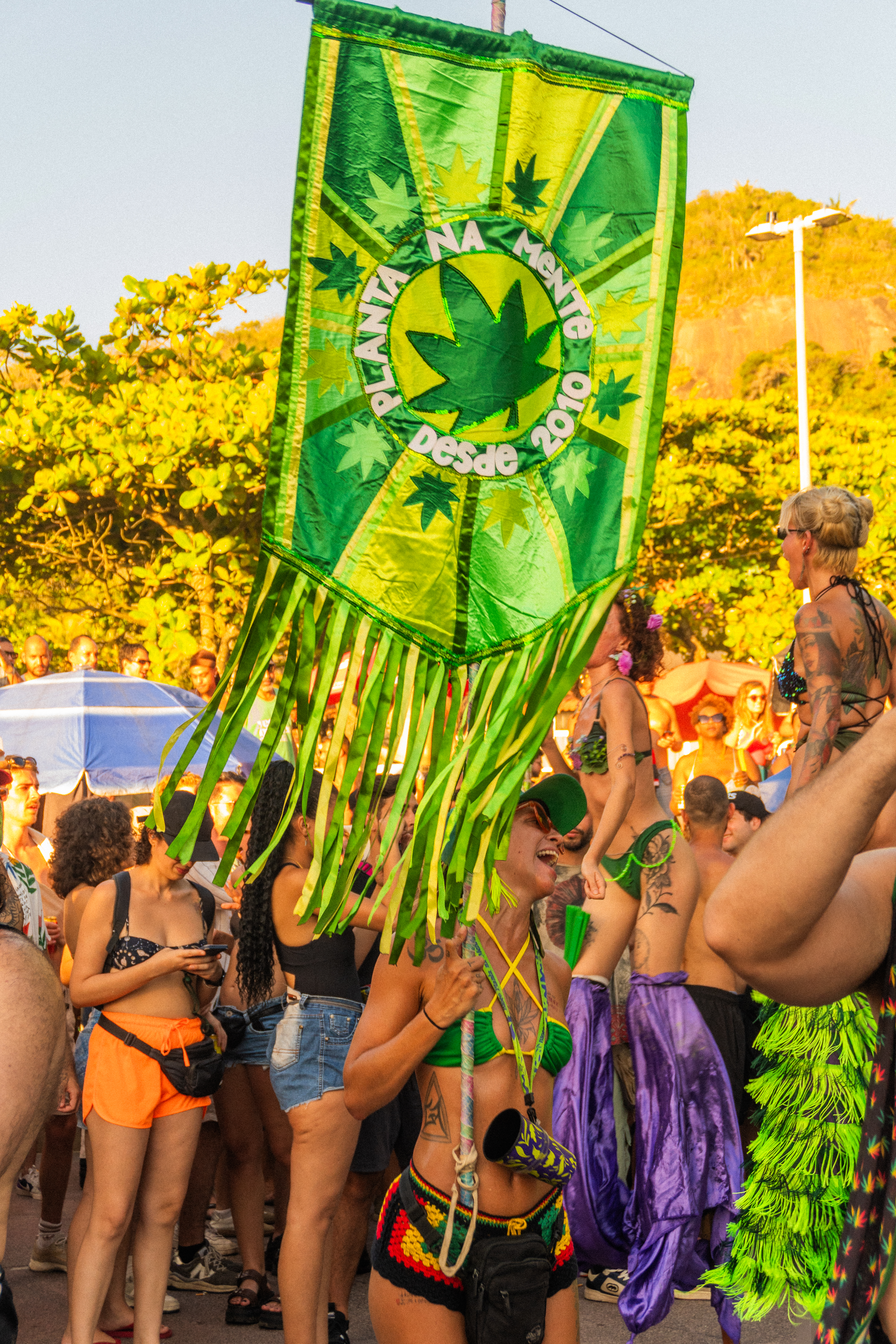 Integrantes do Planta na Mente reunidos